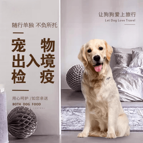 江苏省宠物托运到哥伦比亚猫狗宠物入境规定和
