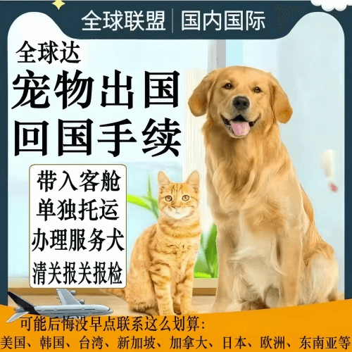 江苏省宠物托运到柬埔寨宠物入境规定和要求