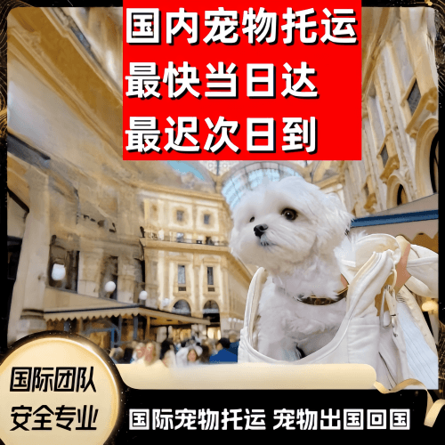 江苏省到澳大利亚（澳洲）宠物入境规定和要求